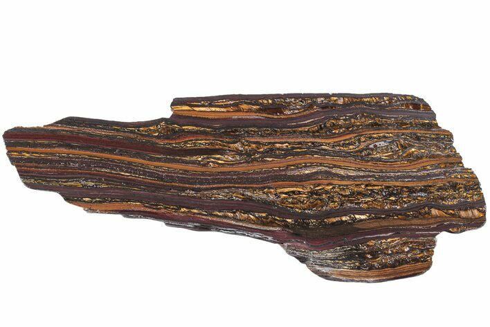 Polished Tiger Iron Stromatolite Slab - Billion Years #222077